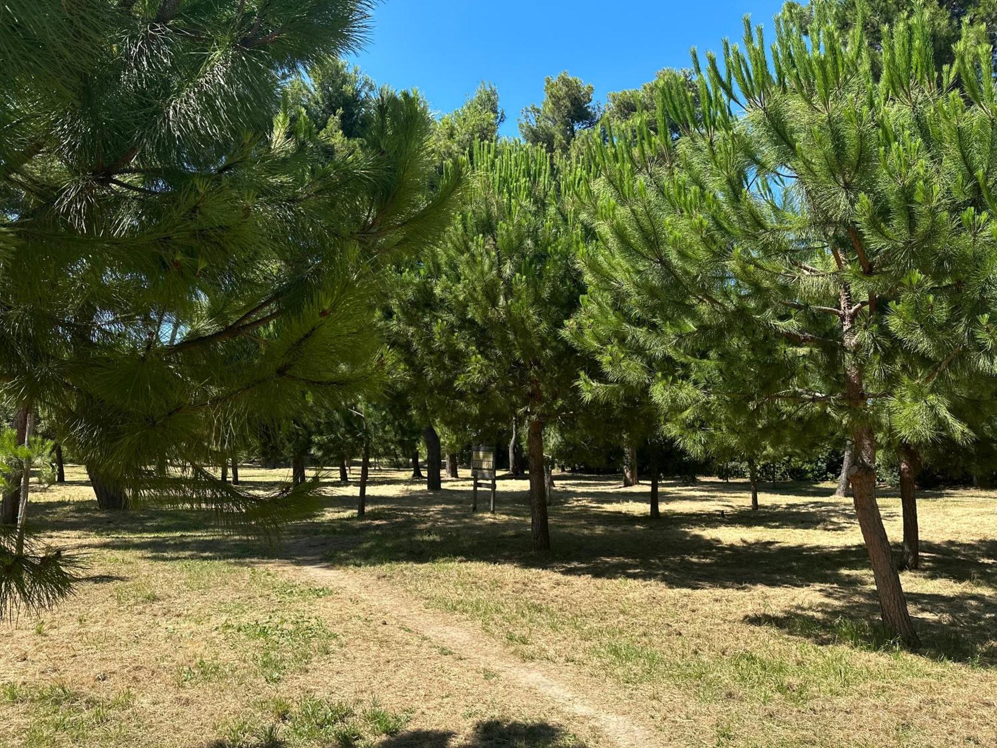 Lortica Apartment Pescara Zewnętrze zdjęcie